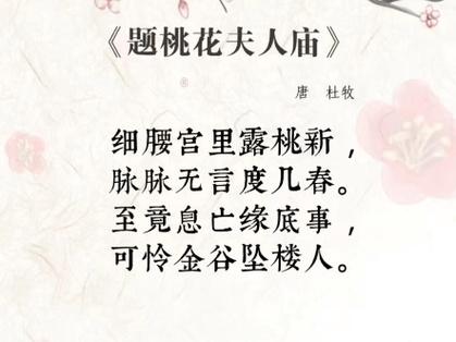 【古桃叩春①春寒尚未散尽 带您闯入一片古老桃林 仿若步入仙境