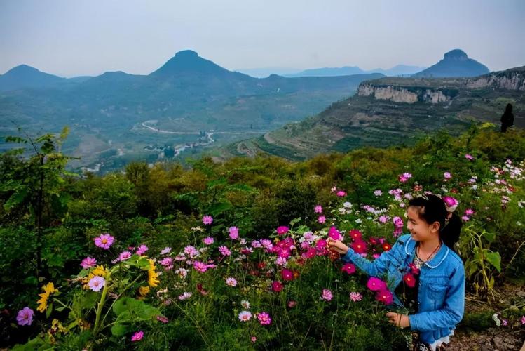 春赏沂蒙好风光 花漾蒙阴迎客来