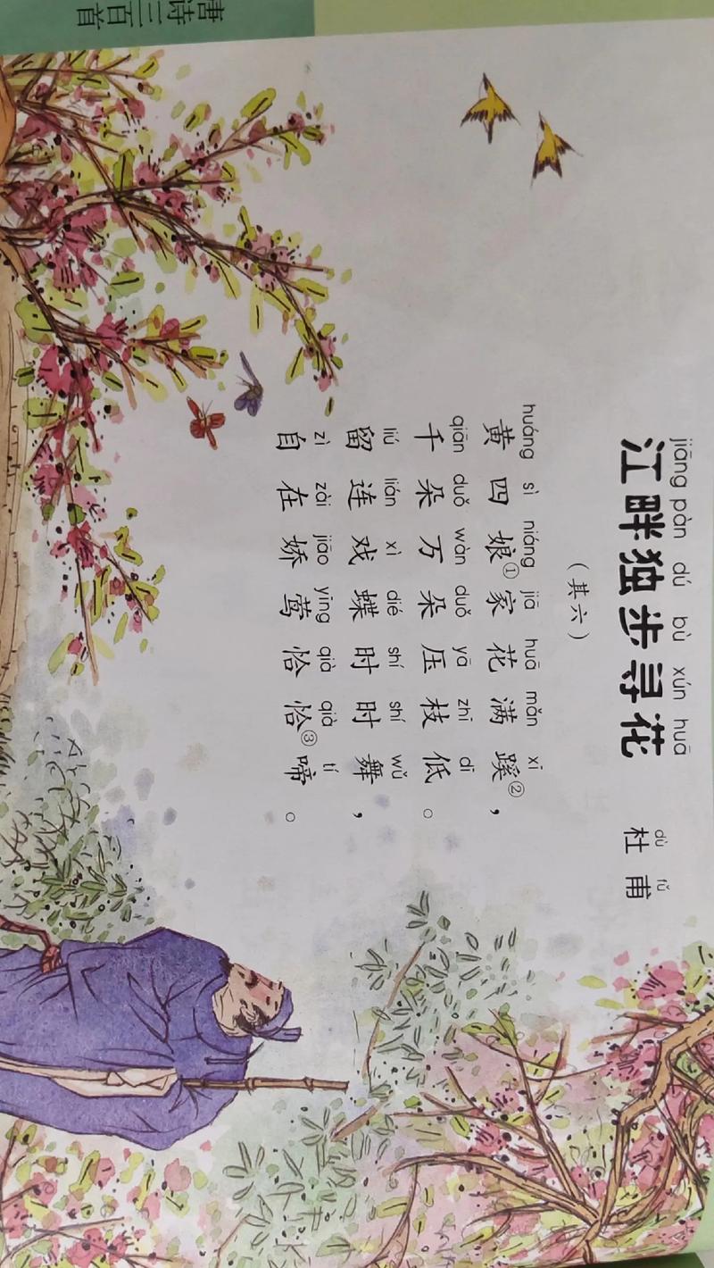 锦城春行在繁花与诗韵中游曳