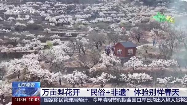 清明踏青赏花来山东！民俗 非遗”带你体验别样春天