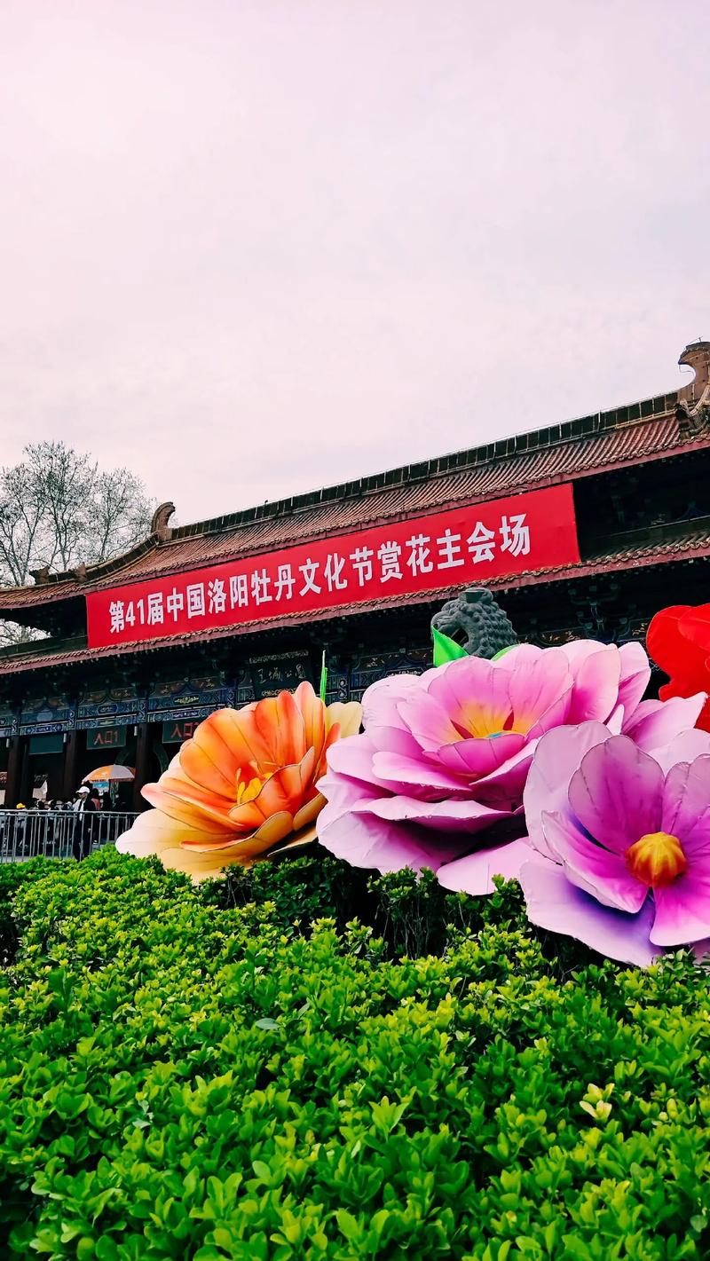 王城丹香迎宾#洛阳牡丹文化节 赏花🌸听歌🎶春游 旅拍