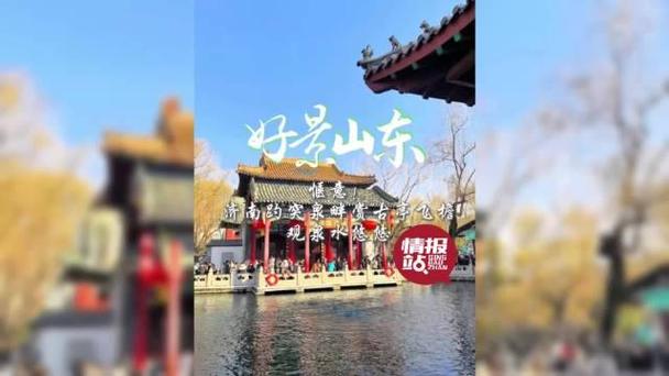 果然视频·好景山东|济南大明湖燕雀枝头食榆钱，呆萌可爱惹人喜