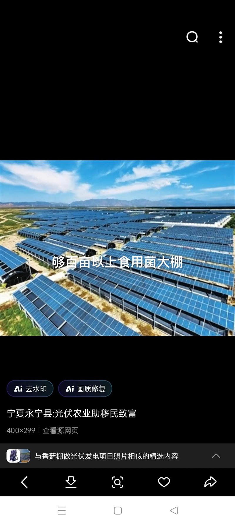 山东青莲菊业泉沟种植基地枣油桃花开，光伏农业助力乡村振兴
