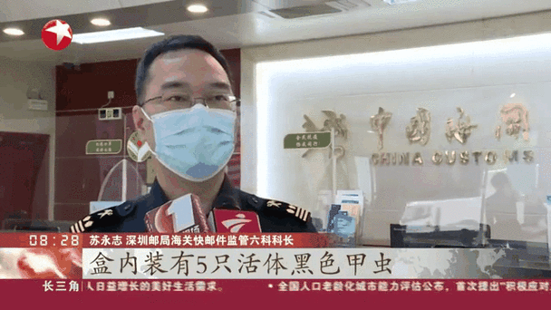 深圳海关“异宠”智能检测仪显威力 今年前3月截获外来物种331种次