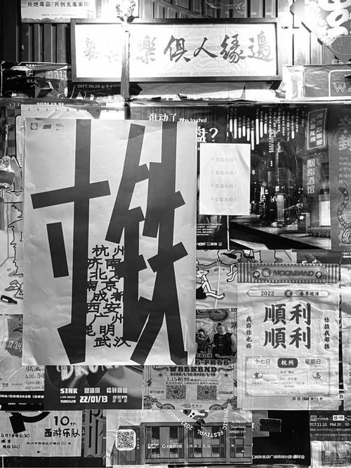浙江宣传丨Live图正在偷走什么