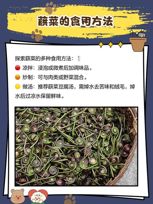 原来蕨菜花还有这作用，总是解决了我的烦恼，比花钱管用