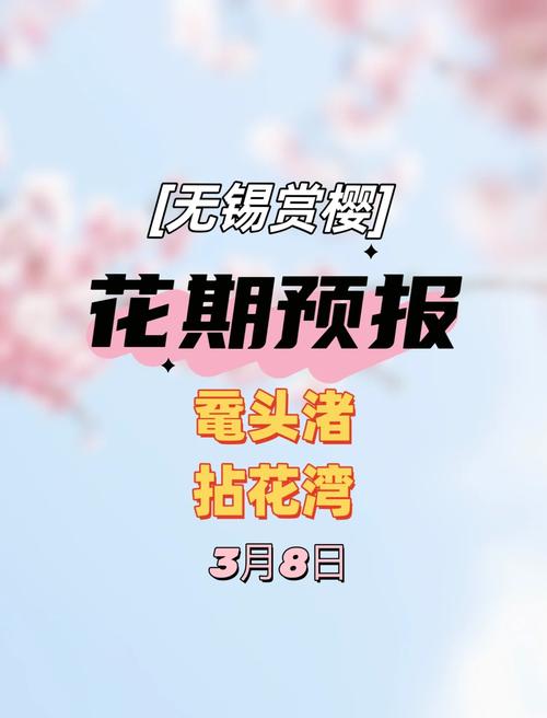 花期预报来啦！樱花盛宴即将开场~