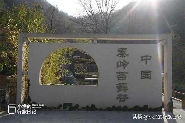 中国最绿的县在陕西！2天1夜，去这座秦岭小城“躺平”超惬意