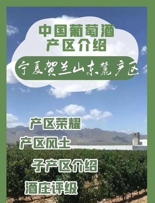 当宁夏遇上了葡萄酒，贺兰山东麓如何用一杯酒撬动千亿产业？