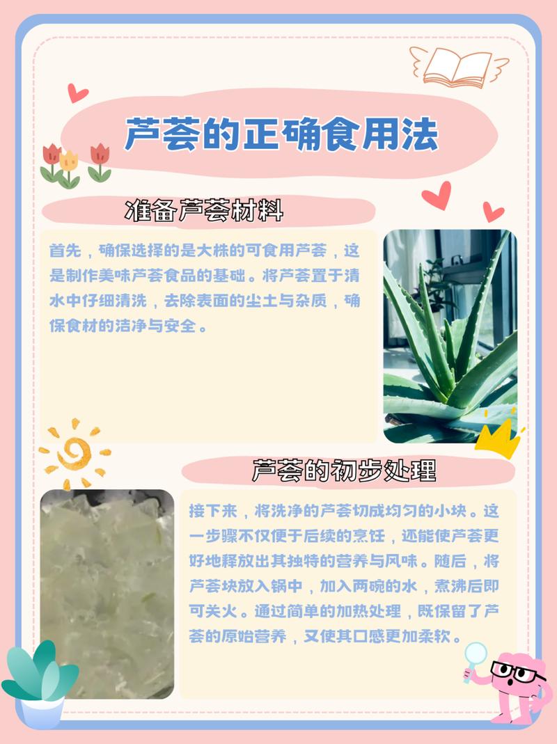 从叶片到餐桌：芦荟的4种创意吃法实测