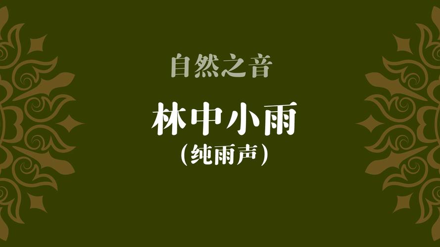 3小时放松治愈轻音乐 林边微雨