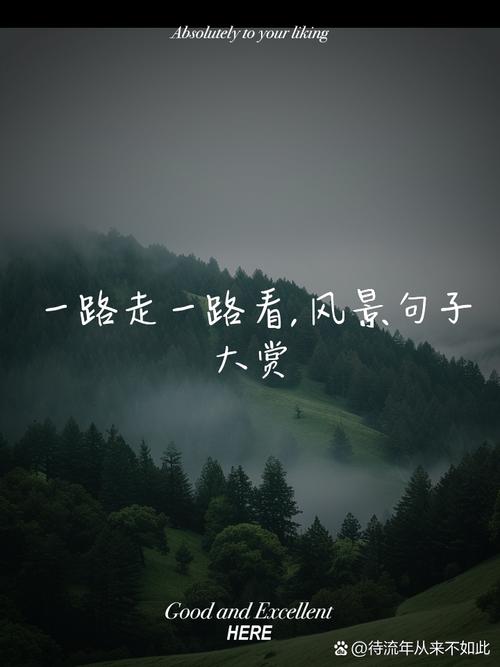 #上热门 创作者扶持计划 一路走一路看#原创 风景优美空气清新
