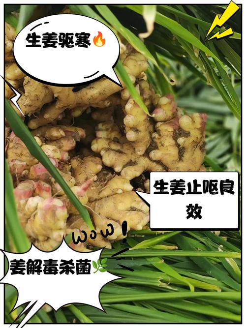 2025年4月18日 第7页