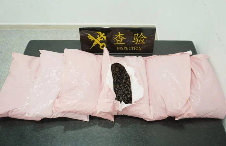 奇臭无比！拱北海关截获5.7千克干制九香虫