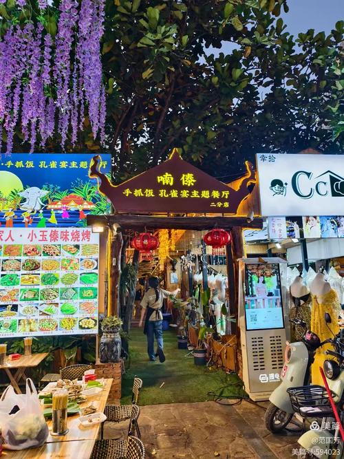带着孙女去旅行（120）西双版纳蝴蝶谷、大金塔寺、星光夜市