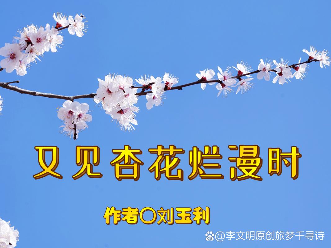 【甘快看】杏花盛放粉白交织成海 来渭源感受铺天盖地的烂漫