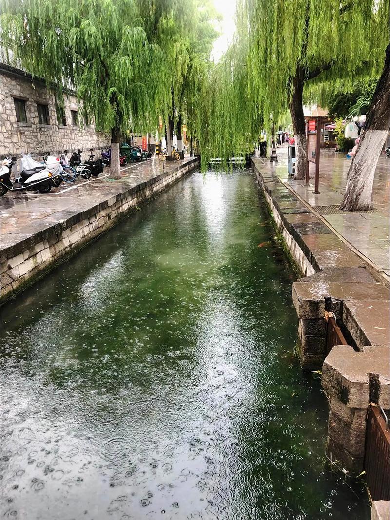 泉城迎春雨