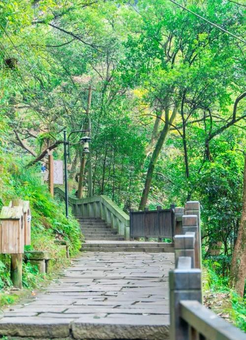 小布丁·早安 地名里的重庆：天星寺镇，邂逅山间的古韵与风情