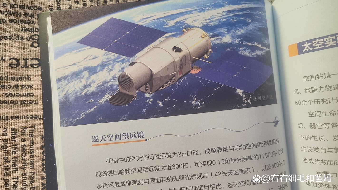 太空种子“出差归来”金塔航天育种开启新篇章