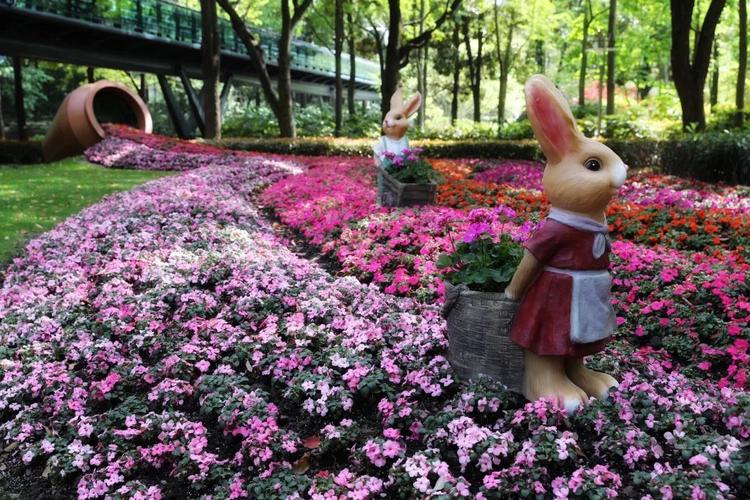 郁金香花开成海！济南红叶谷变身“莫奈花园”春日顶流打卡地藏不住了！