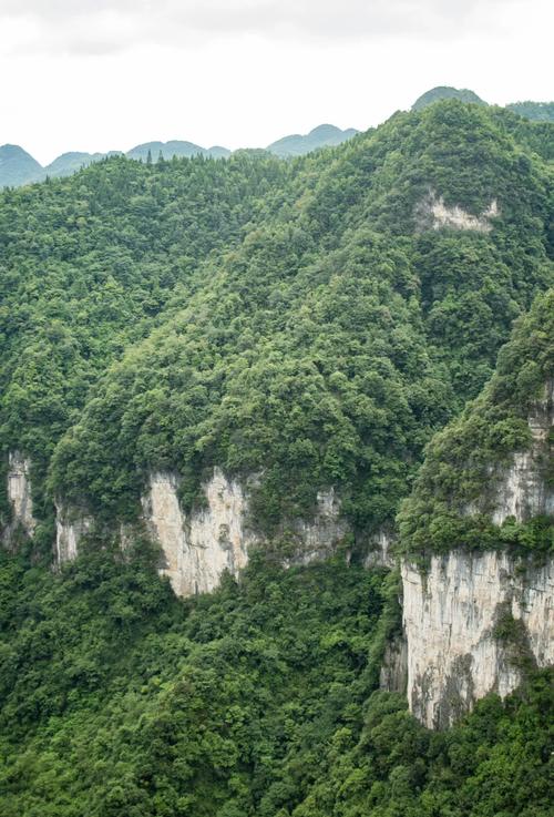 五一畅游｜贵州大方油杉河景区：家庭亲子游的不错选择！
