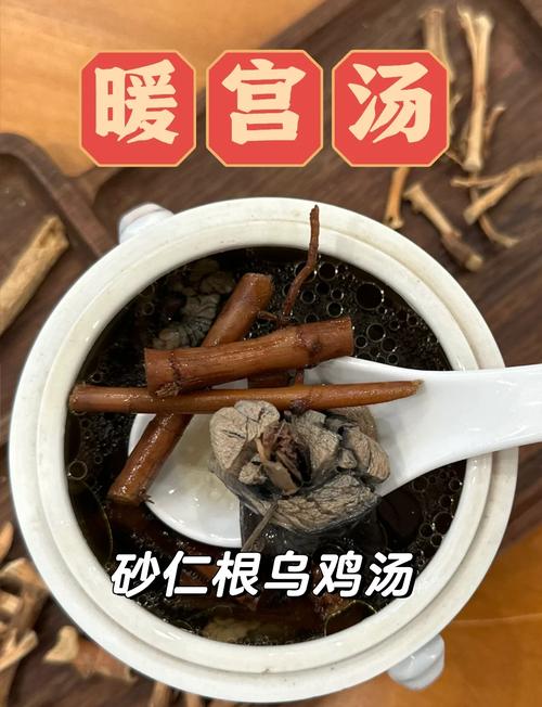 春砂仁煲汤黄金搭档！三碗汤养出好脾胃，这样做鲜香不苦全家爱！