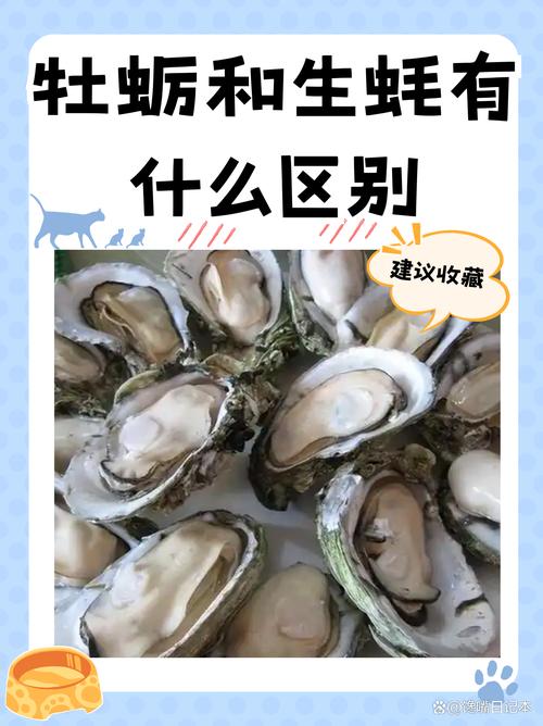终于明白，生蚝和牡蛎长得一样，区别可不小，了解清楚再买不上当