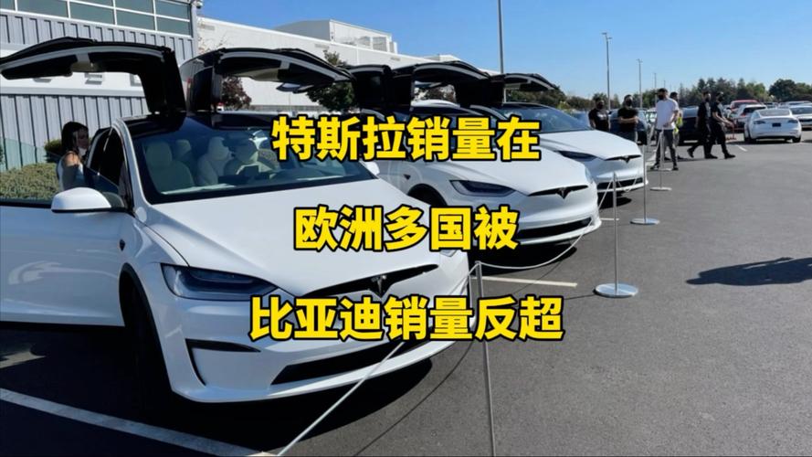 销量全线暴跌 为什么欧洲人不再买特斯拉了？
