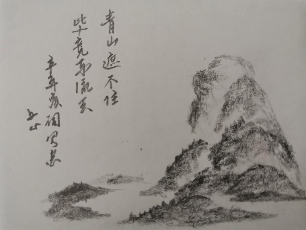 青山遮不住毕竟东流去