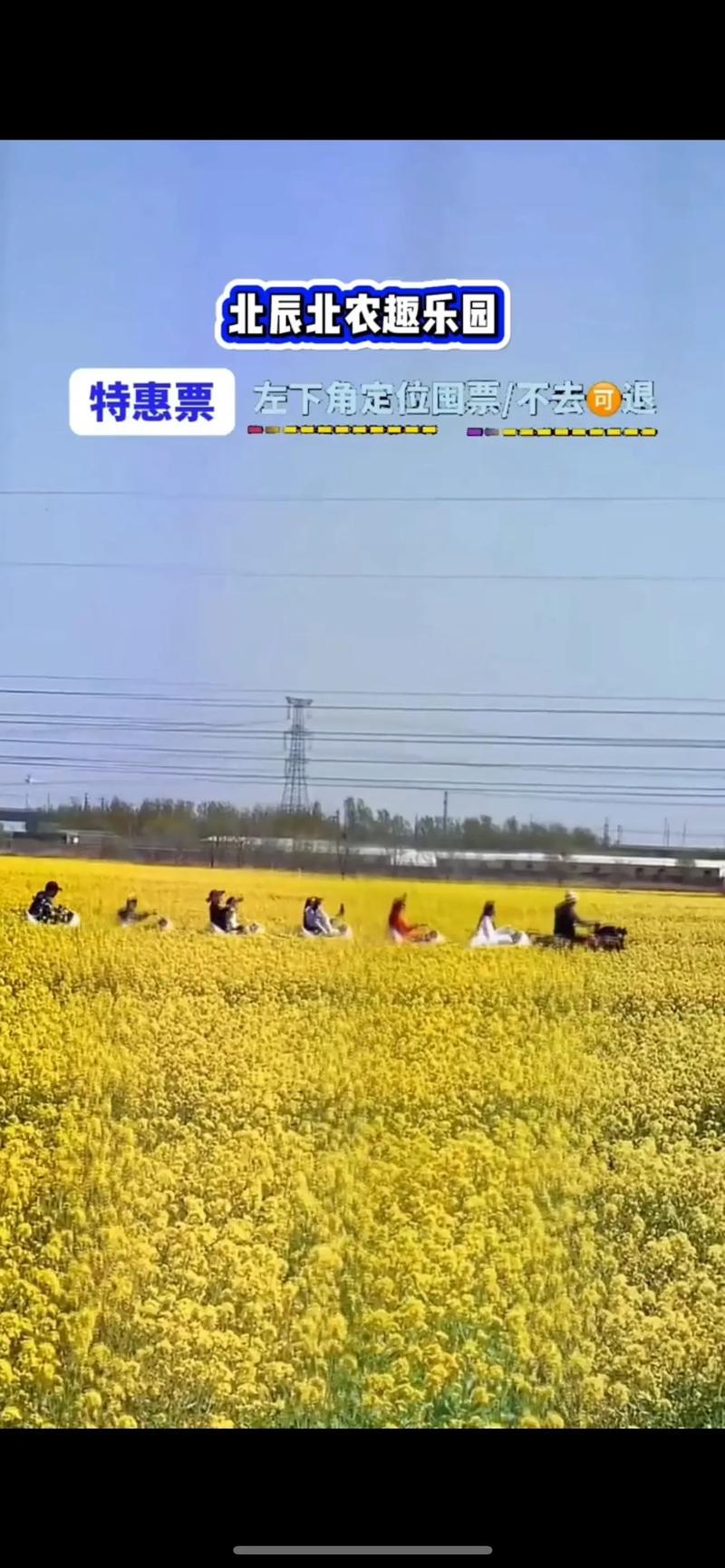 就在明天，明星互动、精彩活动·北辰未来城等你来玩~