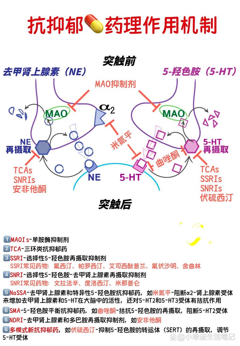我国研究人员揭示压力引发抑郁的神经机制