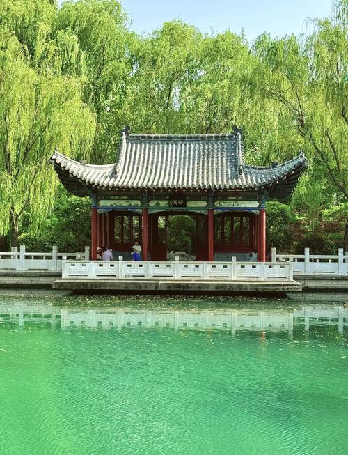 果然视频·好景山东|济南珍珠泉泉涌花开，春色满园美不胜收！