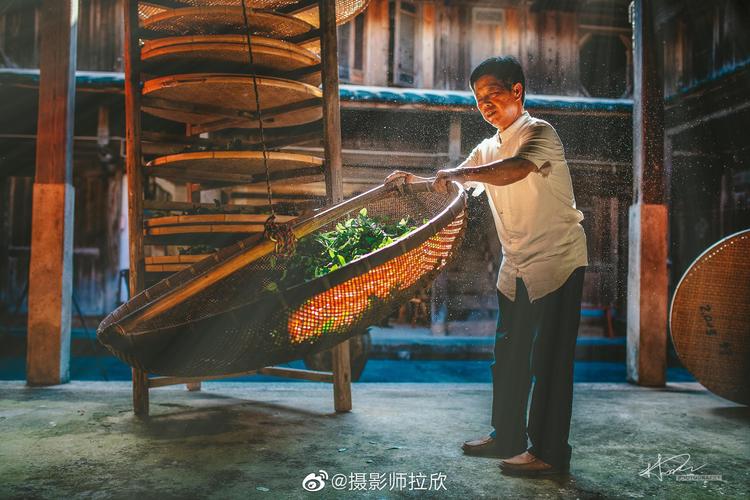 摄影师制茶（01）