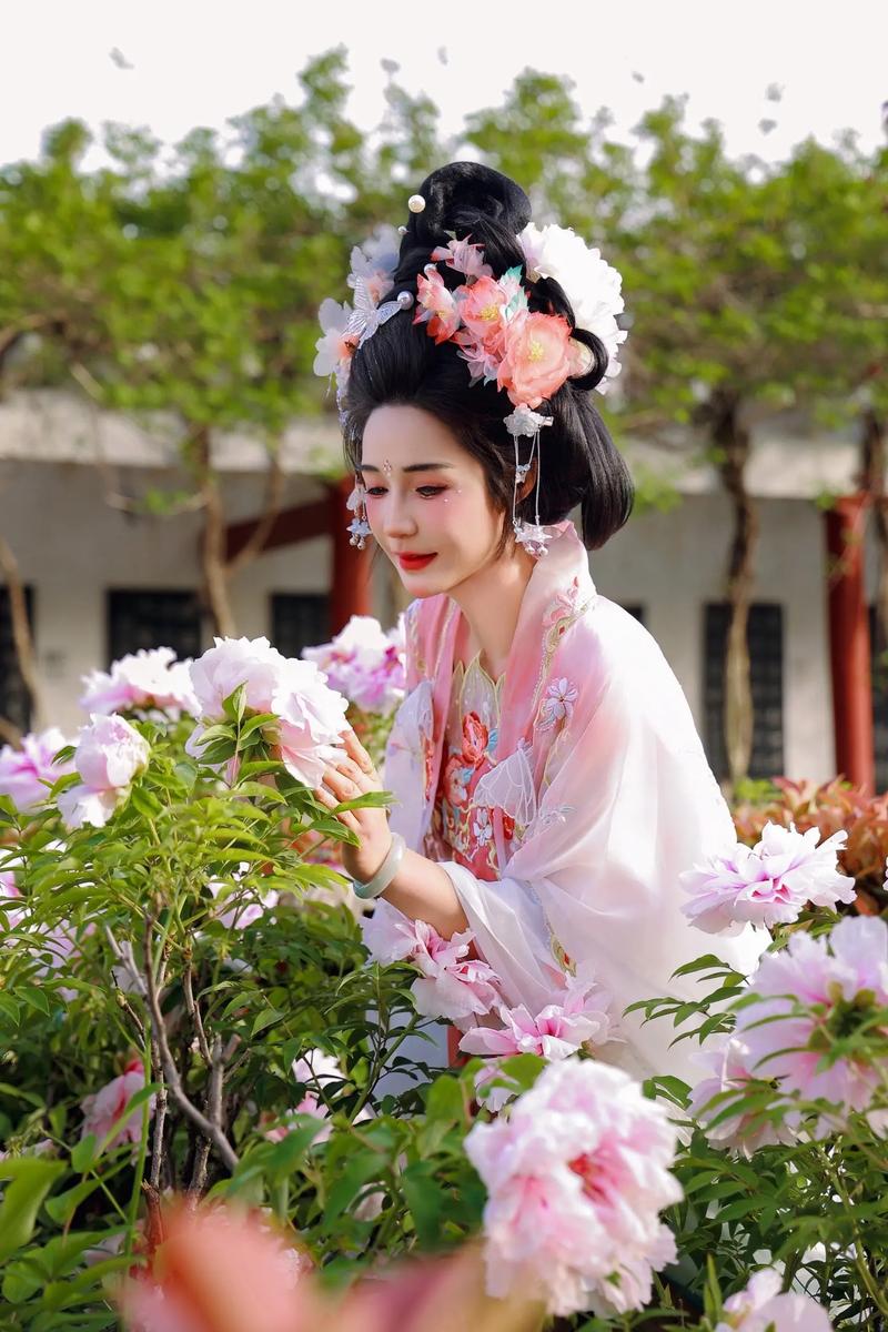 洛阳老城区：牡丹季遇上汉服热 文旅盛宴正当时