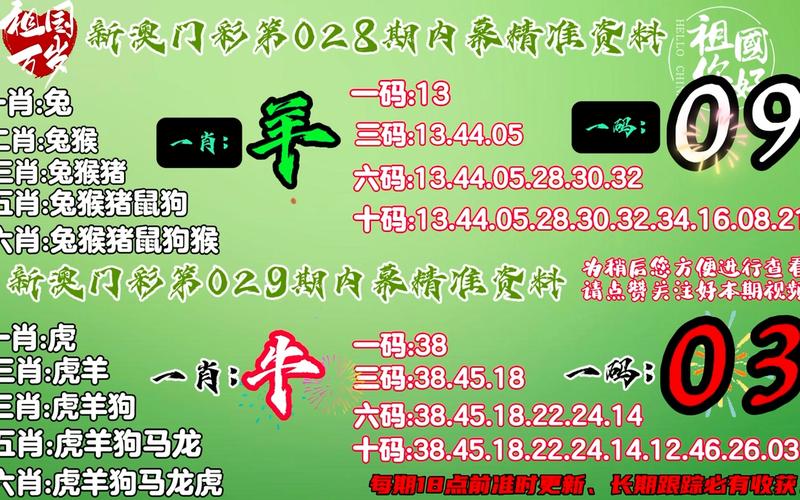新澳门免费资料大全历史记录开马-全面释义、专家解释与落实与警惕虚假宣传