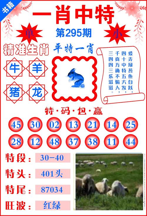 管家婆一肖一码最准资料92期-全面释义、专家解释与落实与警惕虚假宣传
