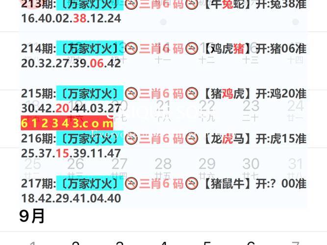2024年香港今期开奖结果查询-全面释义、专家解释与落实与警惕虚假宣传