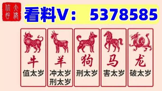 今天澳门晚上出什么马最佳答案-全面释义、专家解释与落实与警惕虚假宣传