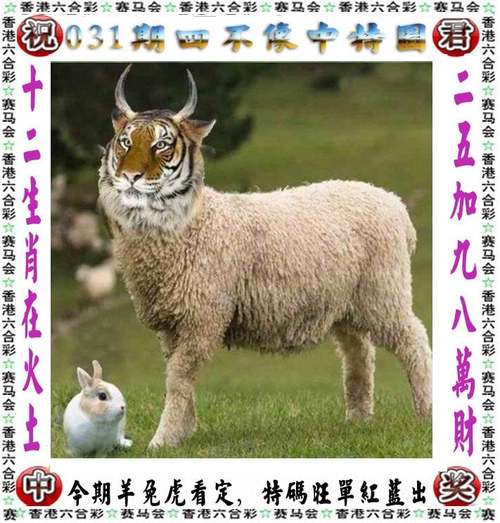 新澳2024今晚开奖资料四不像-全面释义、专家解释与落实与警惕虚假宣传