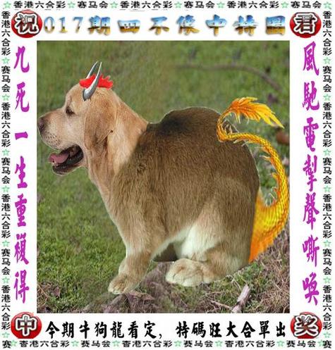 王中王免费资料大全料大全一精准-精选释义、解释与落实与警惕虚假宣传