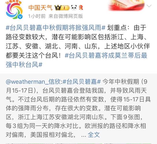2024新澳开奖记录好久公布-全面释义、解释与落实与警惕虚假宣传