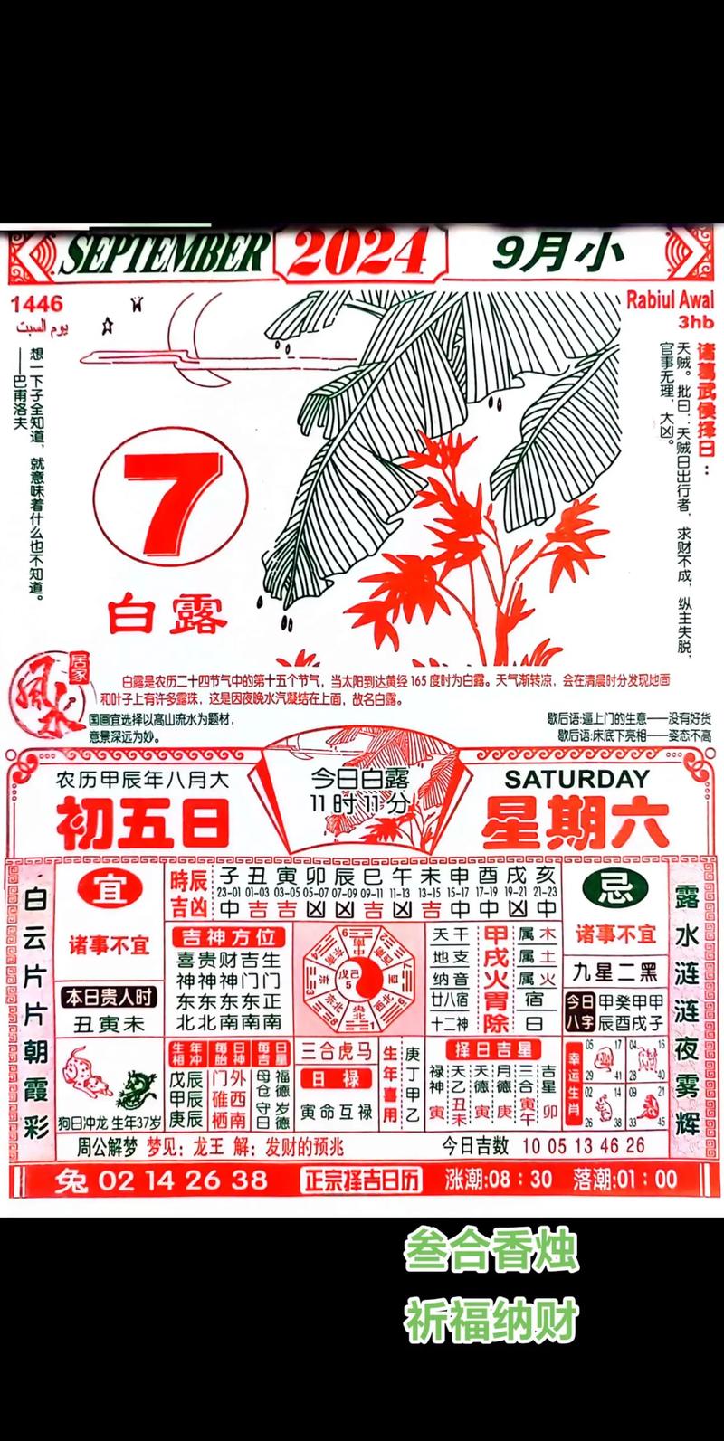 2024澳门精准正版资料生肖卡,全面释义、专家解释与落实与警惕虚假宣传