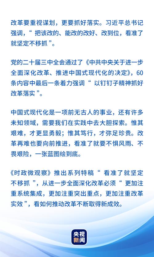 2025年正版资料免费大全,全面释义、解释与落实与警惕虚假宣传