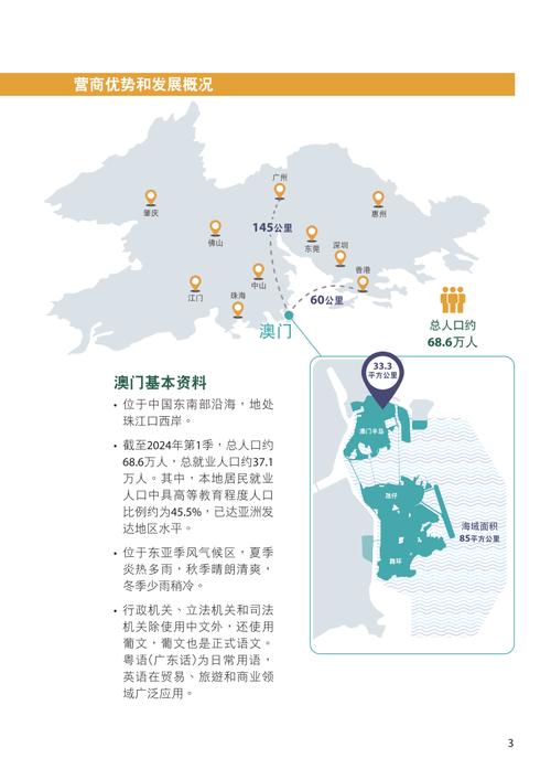 二四六澳门免费资料大全,精选释义、解释与落实与警惕虚假宣传