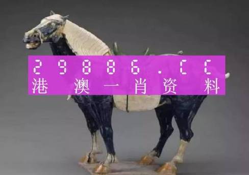今晚必中一码一肖澳门彩经网,2025全面解析实用技巧分享