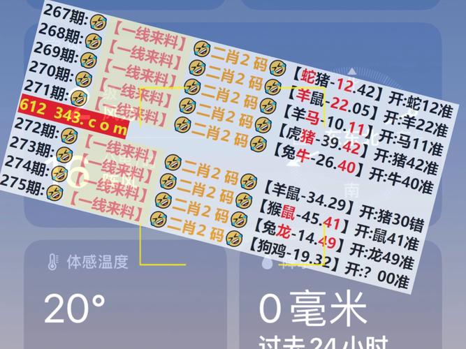 澳门资料大全正版资料2024年免费脑筋急转弯,精选释义、解释与落实与警惕虚假宣传
