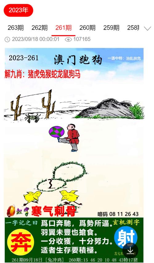 2025年5月8日 第4页