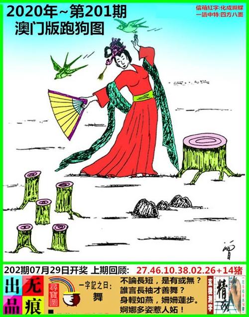 7777788888新版跑狗图,2025全面解析实用技巧分享