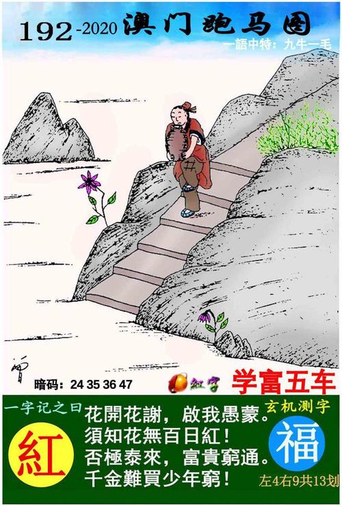 跑狗图555436www香港,2025全面解析实用技巧分享