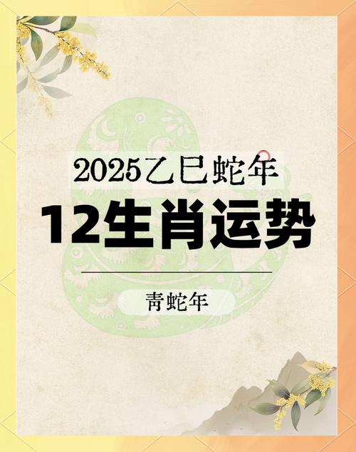 2025精准免费资料大全查询下载与新奥开奖生肖走势图全面释义、解释与落实与警惕虚假宣传